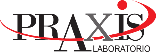 Praxis presenta su nueva página web